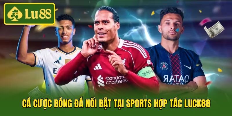 Cá cược bóng đá nổi bật tại Sports hợp tác Luck88